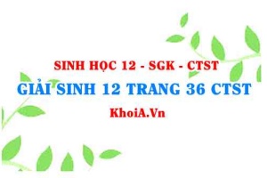Giải Sinh 12 trang 36 Chân trời Sáng tạo
